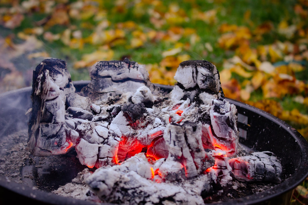Eco Grill