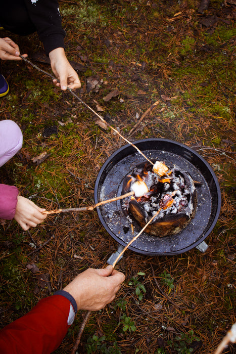 Eco Grill