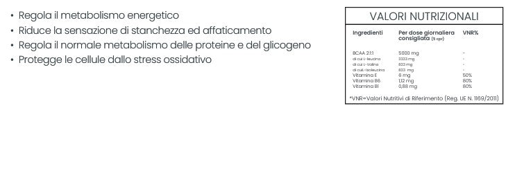 BCAA 411