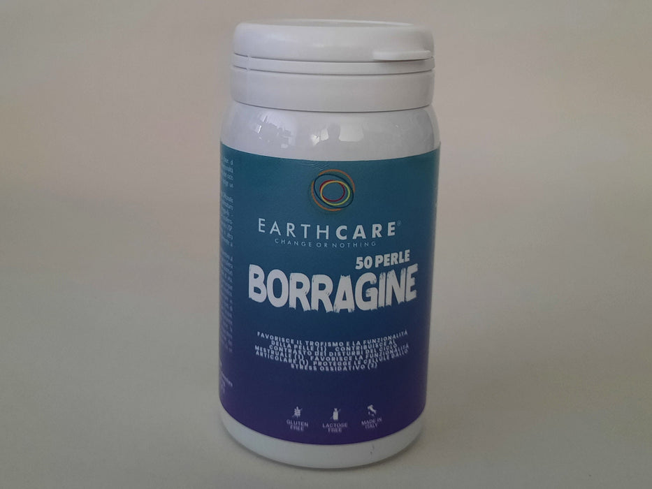 Borragine