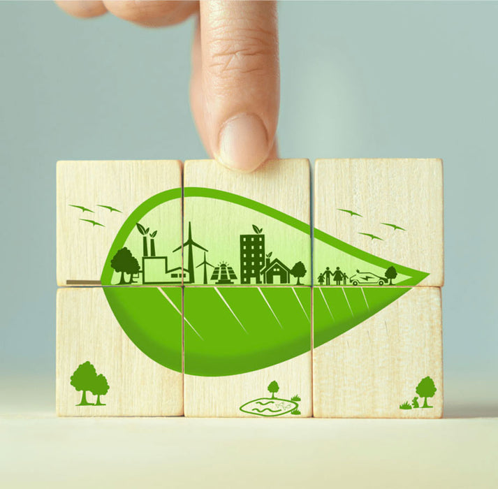 Introduzione alla green economy