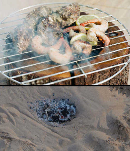 Eco Grill