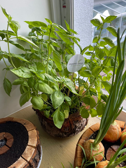 Organic pod kit