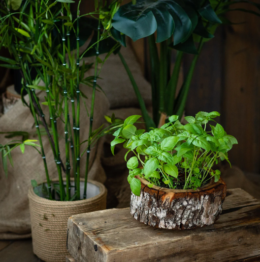 Organic pod kit