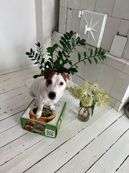 Organic pod kit