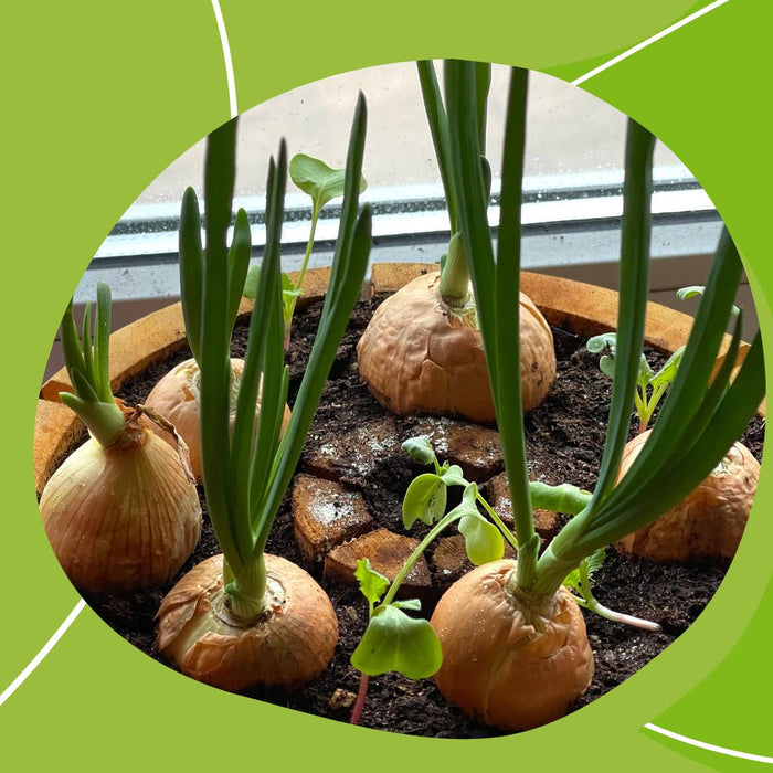 Organic pod kit